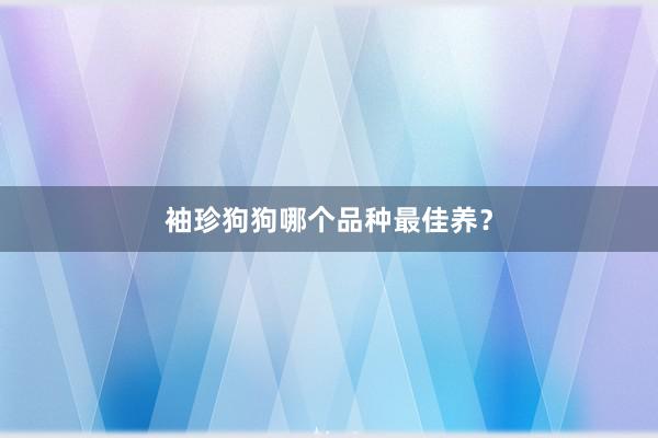 袖珍狗狗哪个品种最佳养？